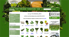 Desktop Screenshot of naturabioballerini.it